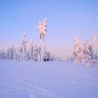 Märchenhafter Wintertag in Lappland