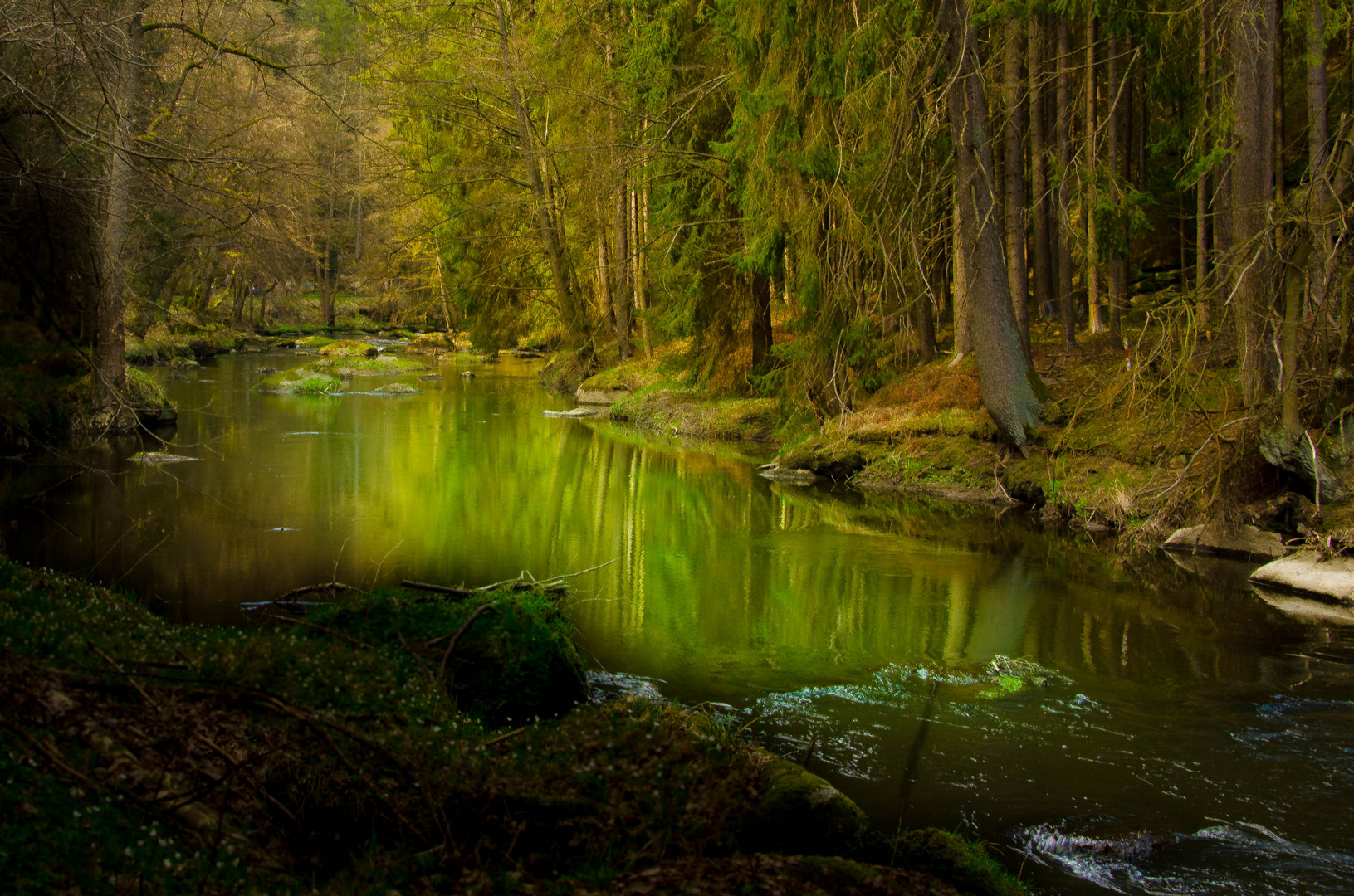 märchenhaftes Waldnaabtal