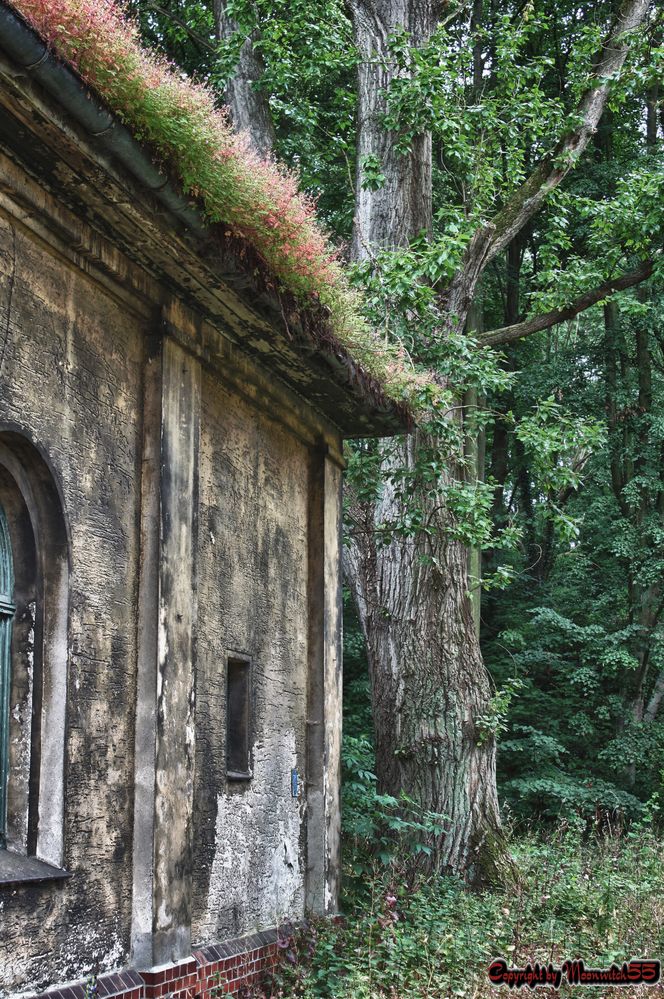 Märchenhaus im Märchenland