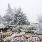 Märchenkulisse auf dem Hohen Schneeberg