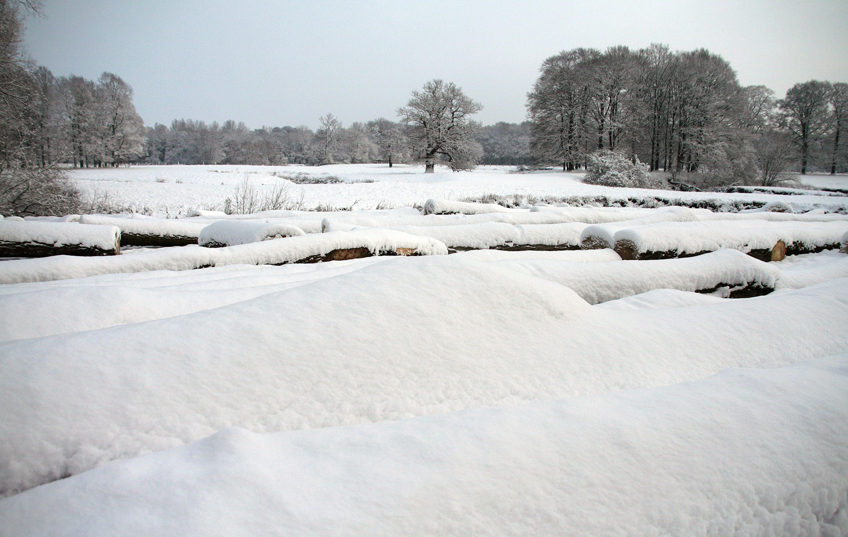 - Märchenland -