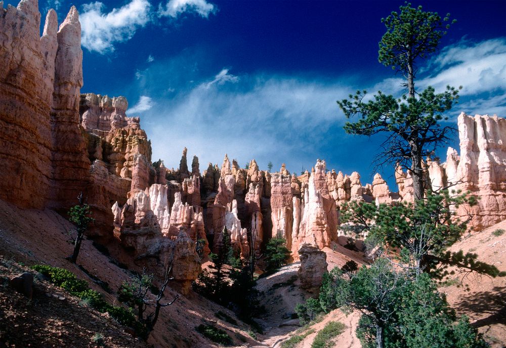 Märchenlandschaft Bryce Canyon, Utah, USA