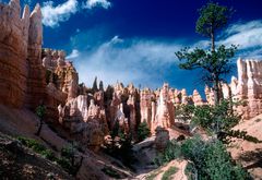 Märchenlandschaft Bryce Canyon, Utah, USA