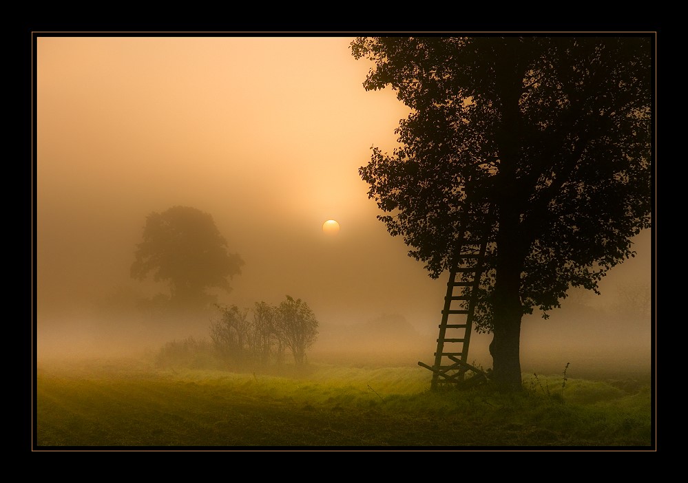 Märchenmorgen