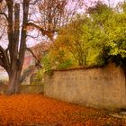 Märchenschloss - gleich nebenan (6) - Die blaue Tür zum Schlossgarten