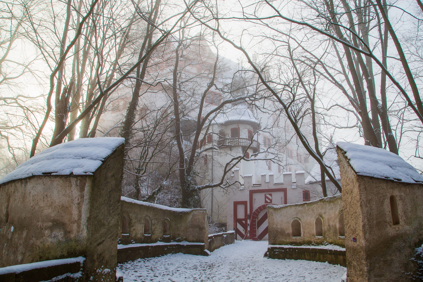 Märchenschloss im Nebel