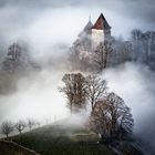 Märchenschloss im Nebelgewand