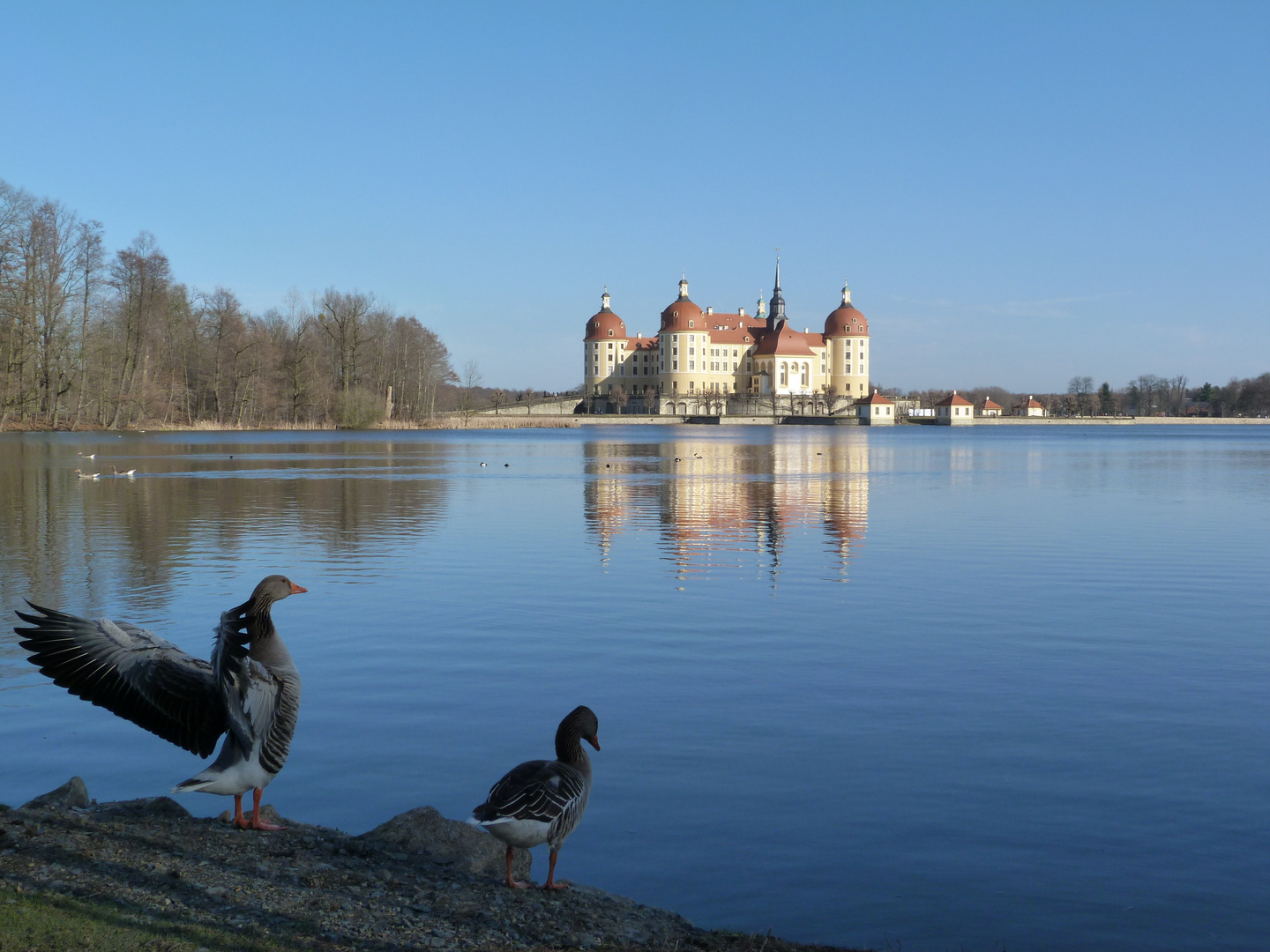 Märchenschloß Moritzburg