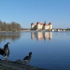 Märchenschloß Moritzburg