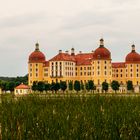 Märchenschloss Moritzburg 