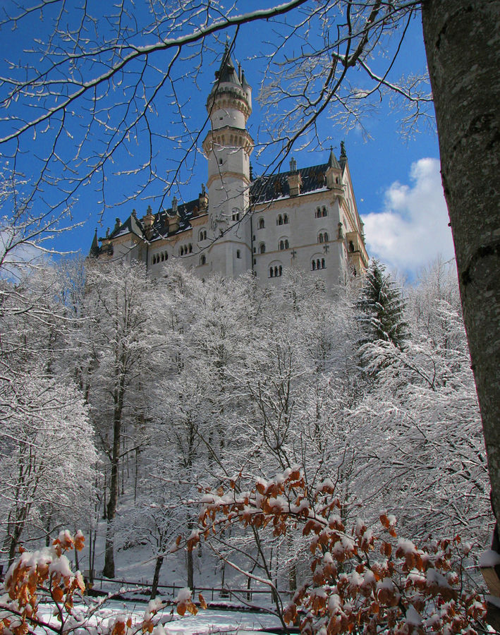 Märchenschoß im Winter