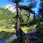 Märchensee Feeling