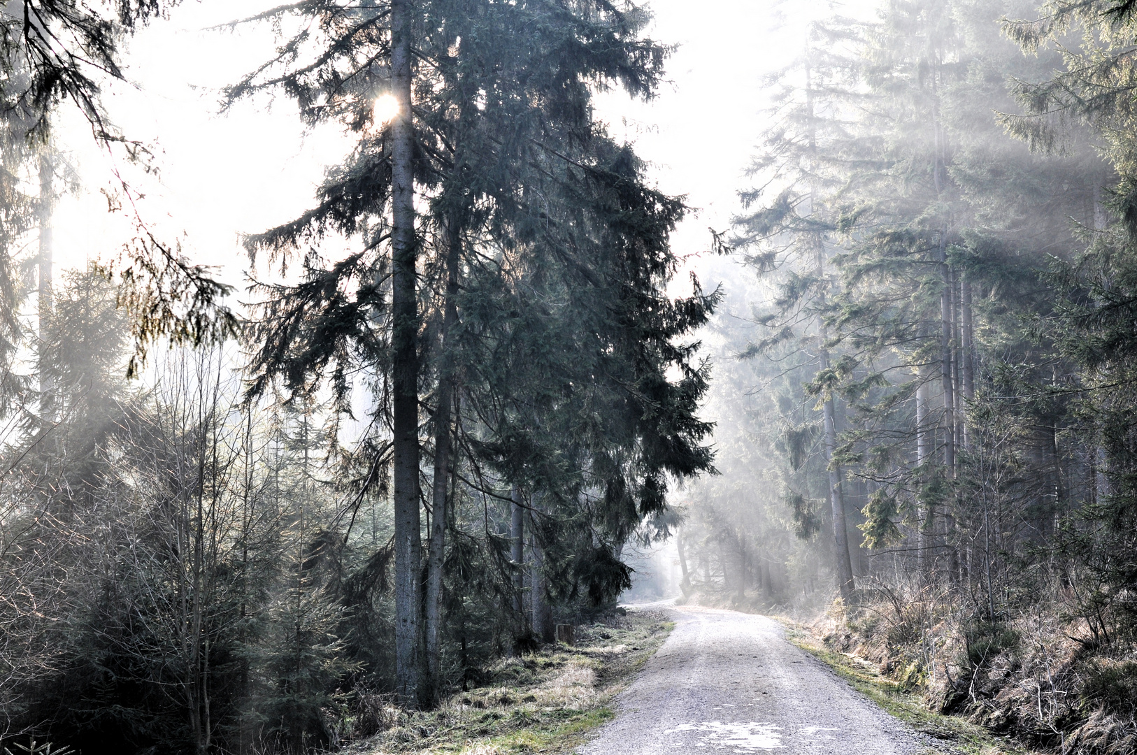 Märchenstimmung im Koboldwald