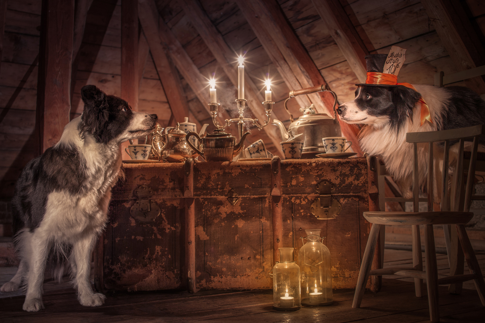 Marchenstunde Alice Im Wunderland Foto Bild Hunde Hund Marchen Bilder Auf Fotocommunity