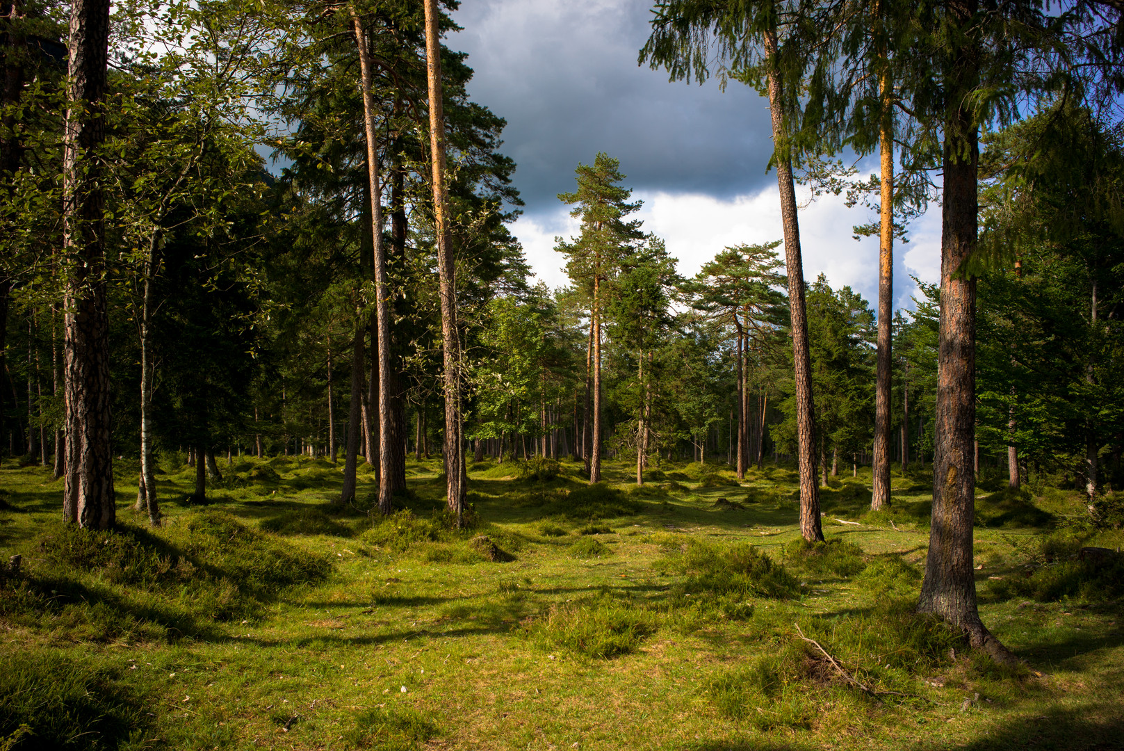 Märchenwald