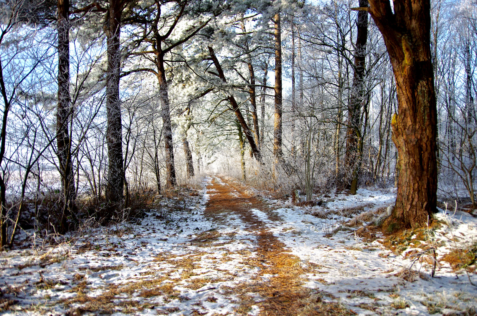 Märchenwald