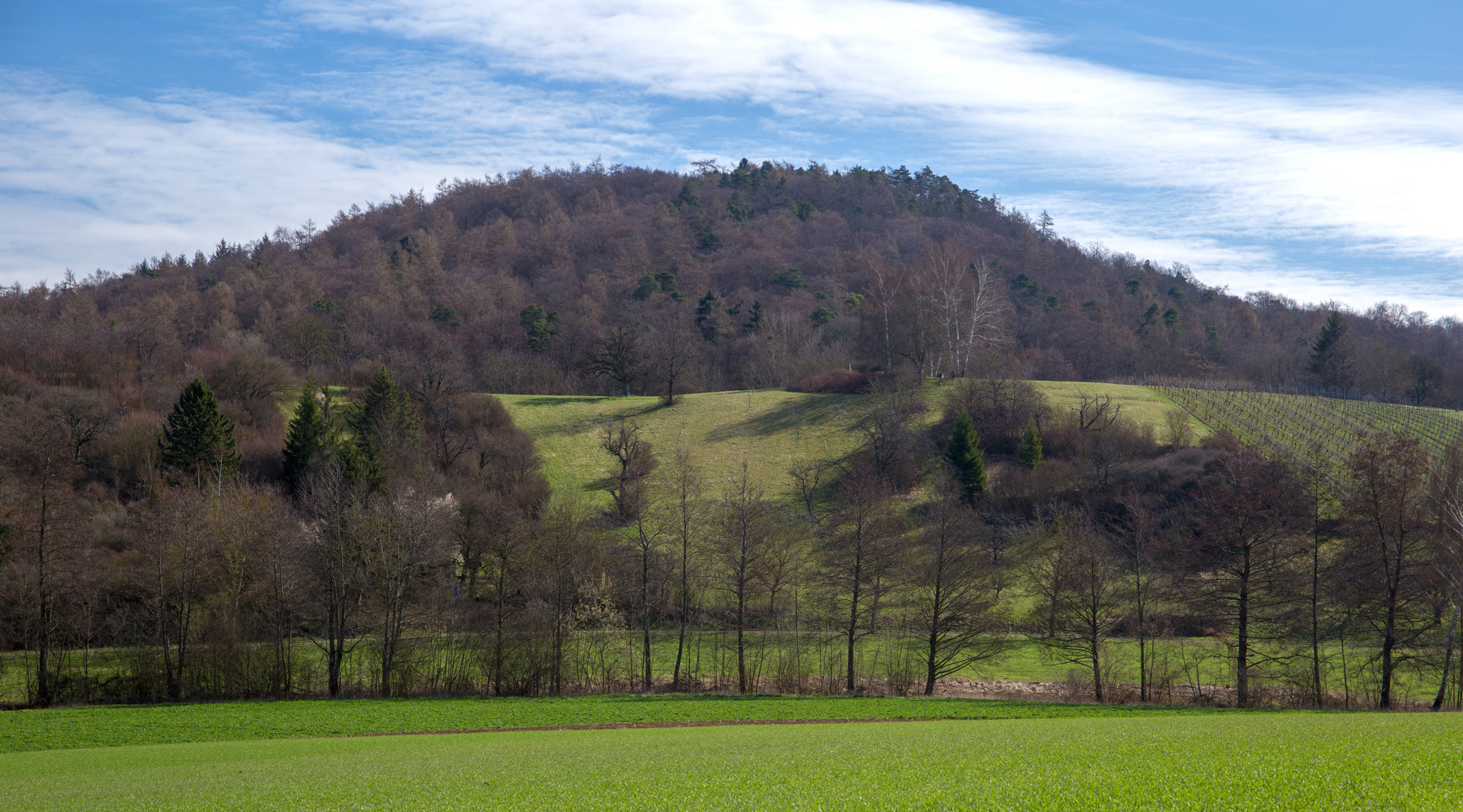 Märchenwald