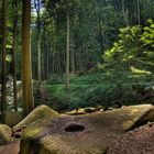 Märchenwald am Felsenmeer