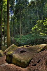 Märchenwald am Felsenmeer