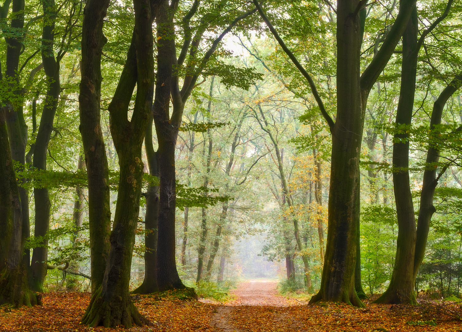 Märchenwald Eingang