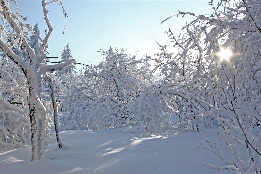 Märchenwald Feldberg