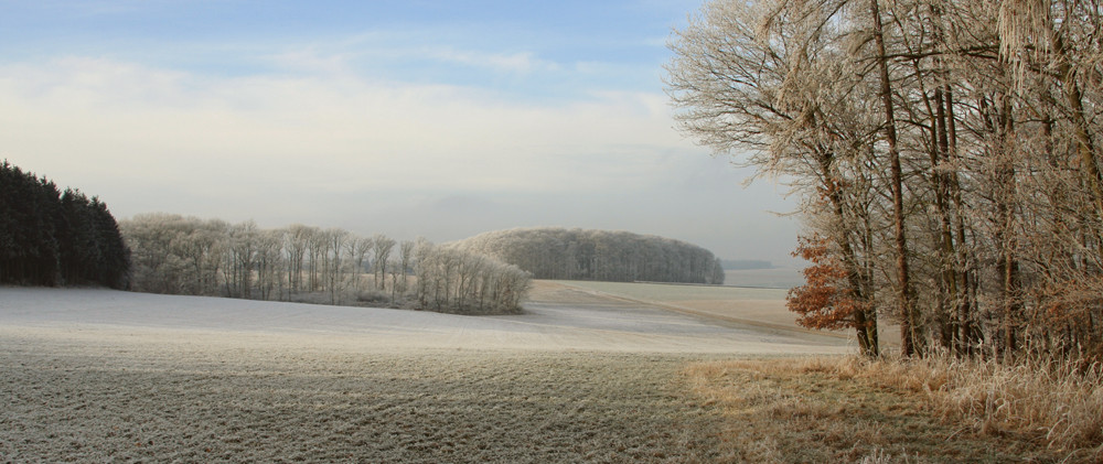 Märchenwald im Hunsrück