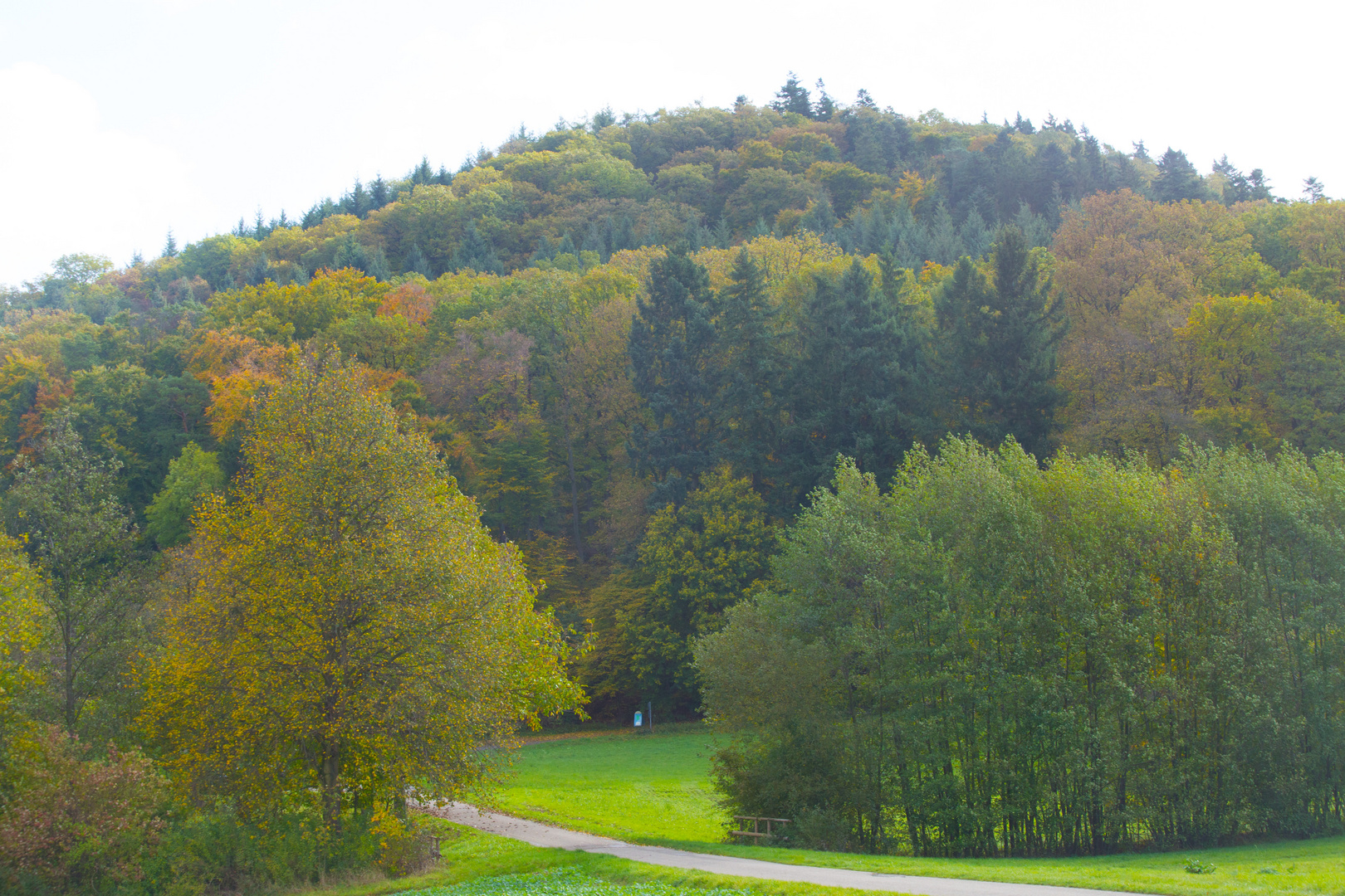  Märchenwald in Kürnbach