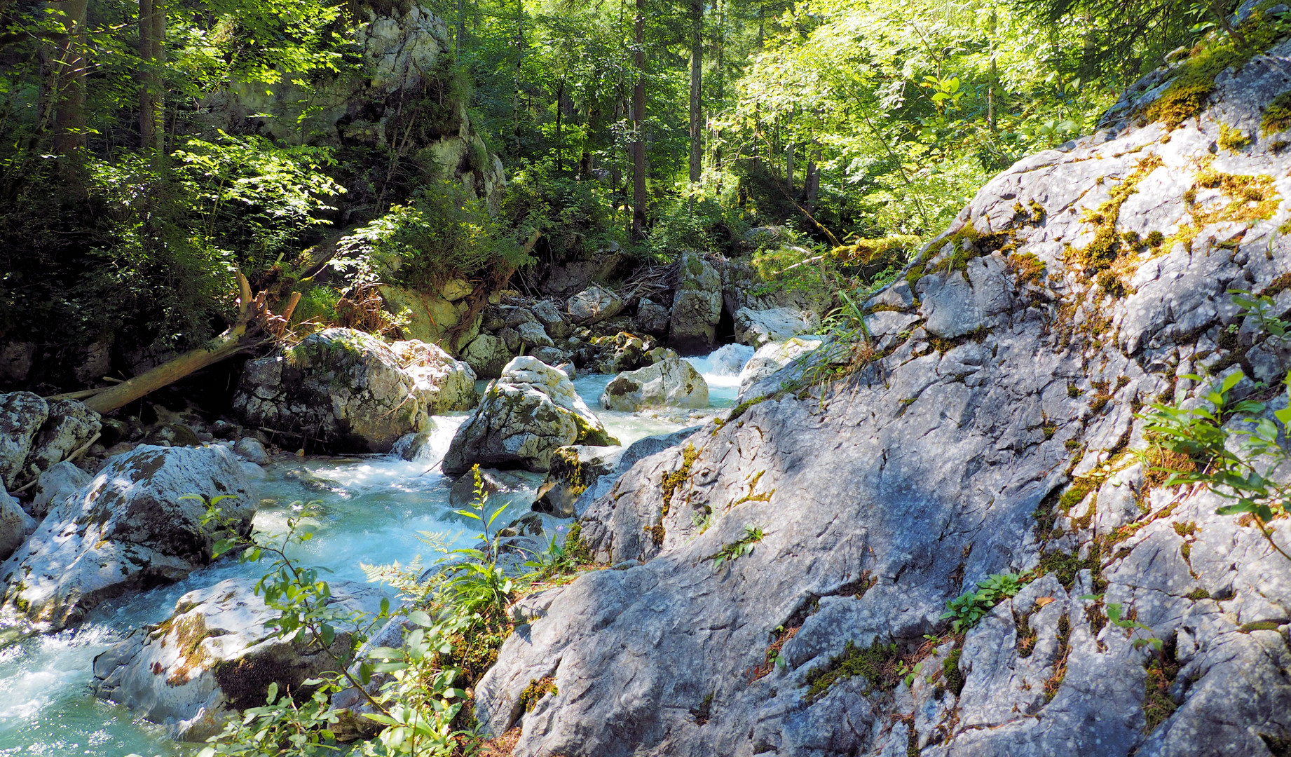 Märchenwald Ramsau 