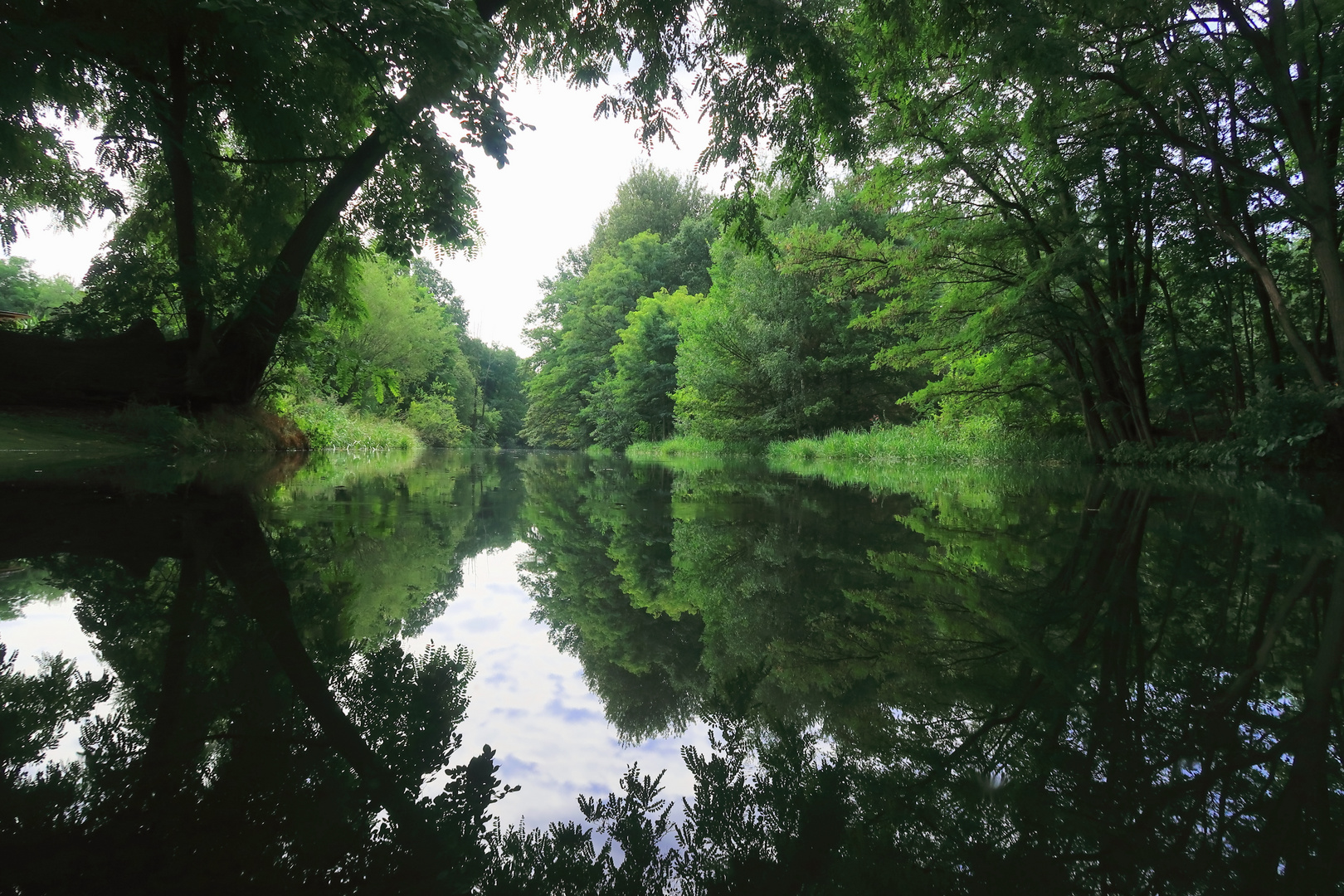 Märchenwald spiegle dich