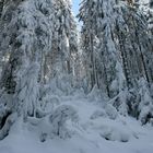 Märchenwald.....eine winterliche Inszenierung