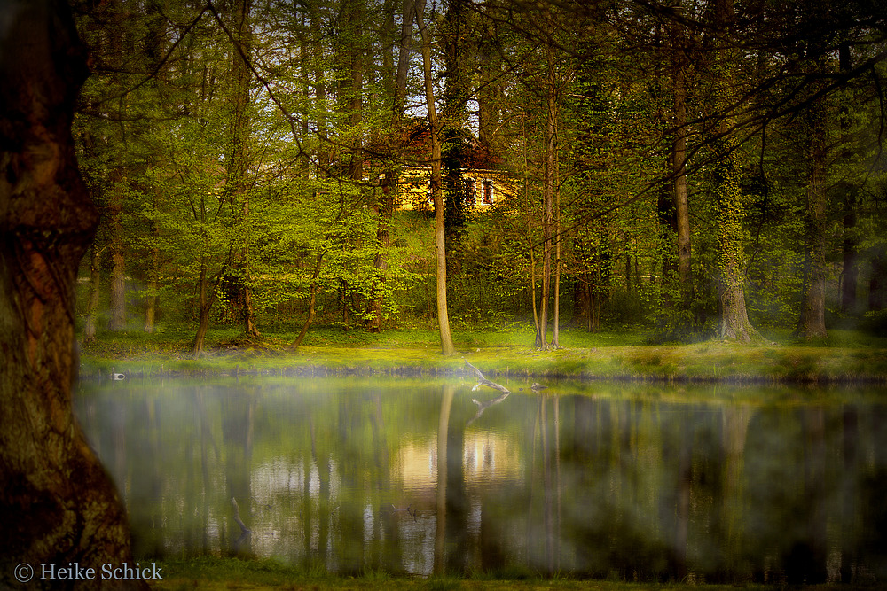 Märchenwaldstimmung im Schloßpark