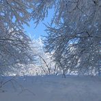 Märchenwelt aus Schnee