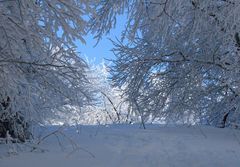 Märchenwelt aus Schnee