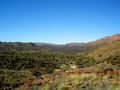 MacDonnell Ranges