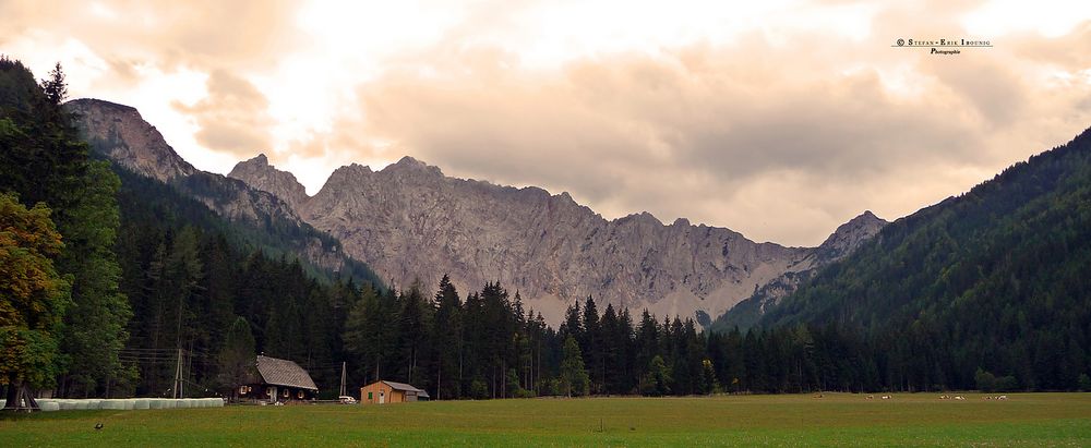 " Märchenwiese an den Karawanken "