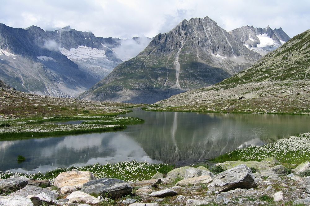 Märjelensee