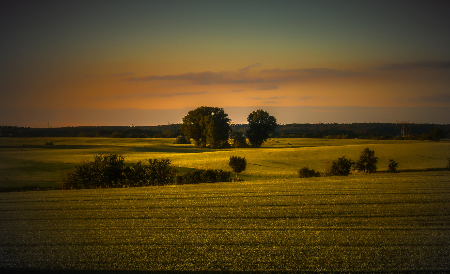 Märkisch Oderland