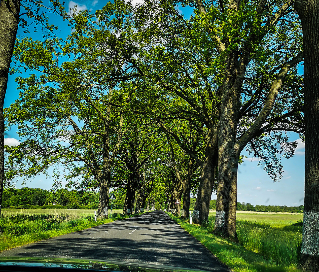 Märkische Allee