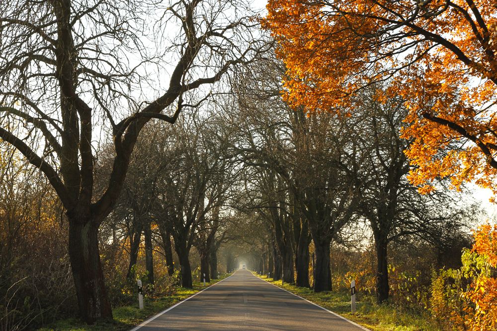 | | Märkische Allee | |