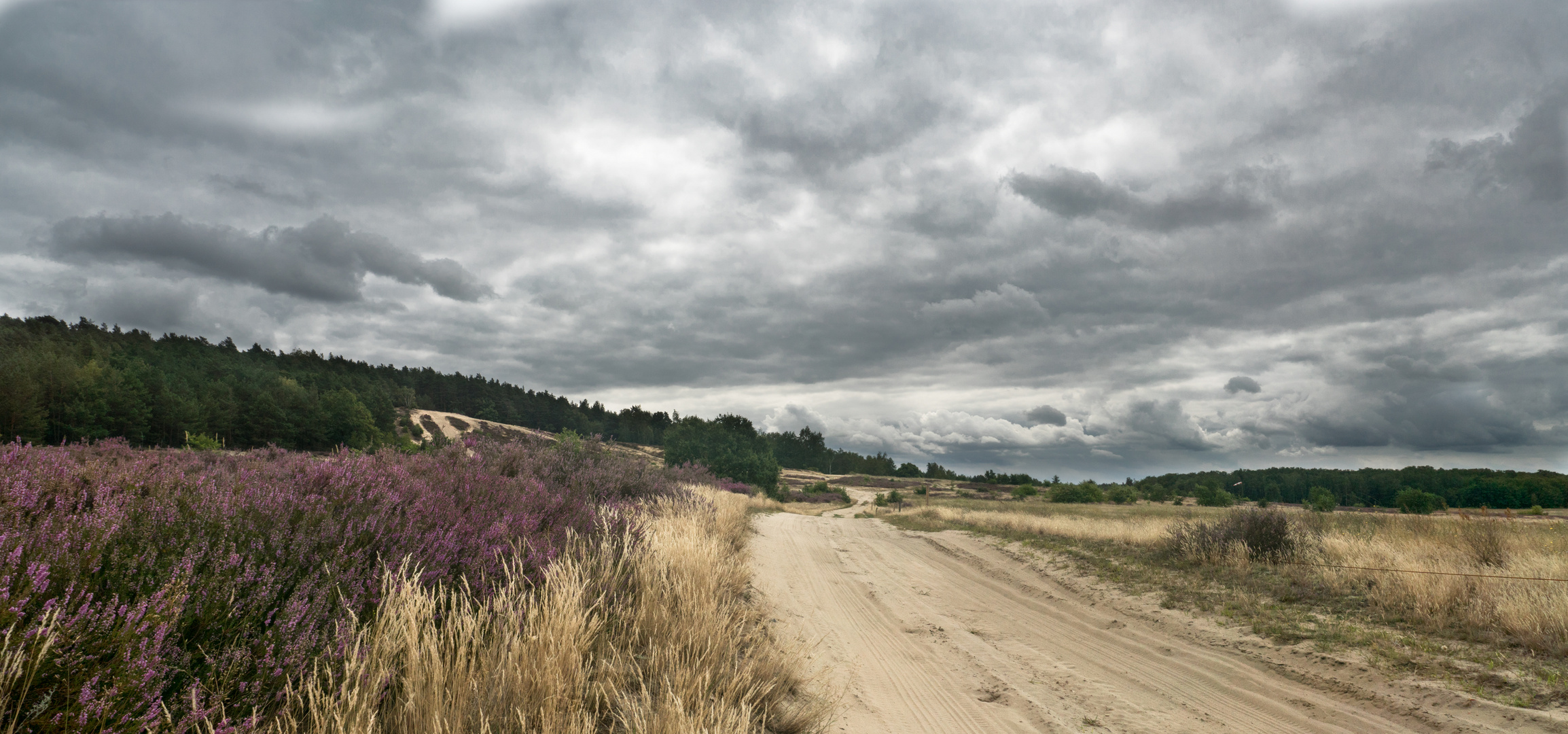 Märkische Heide