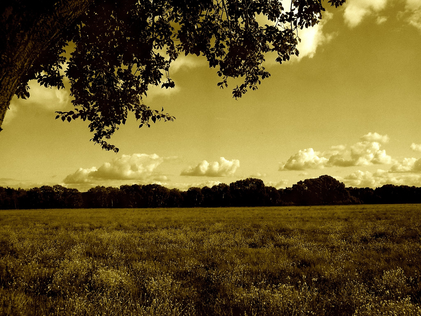 Märkische Heide, Märkisches Land