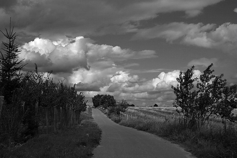 Märkische Landschaft