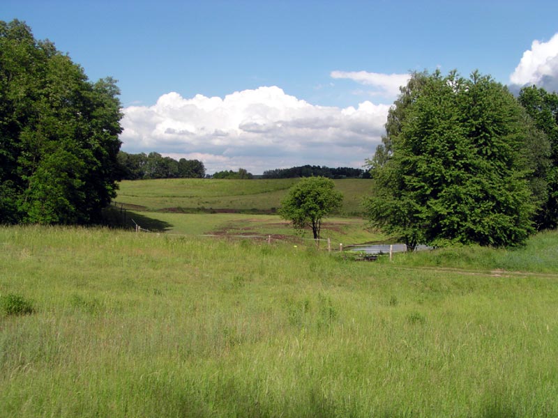 Märkische Schweiz in grün