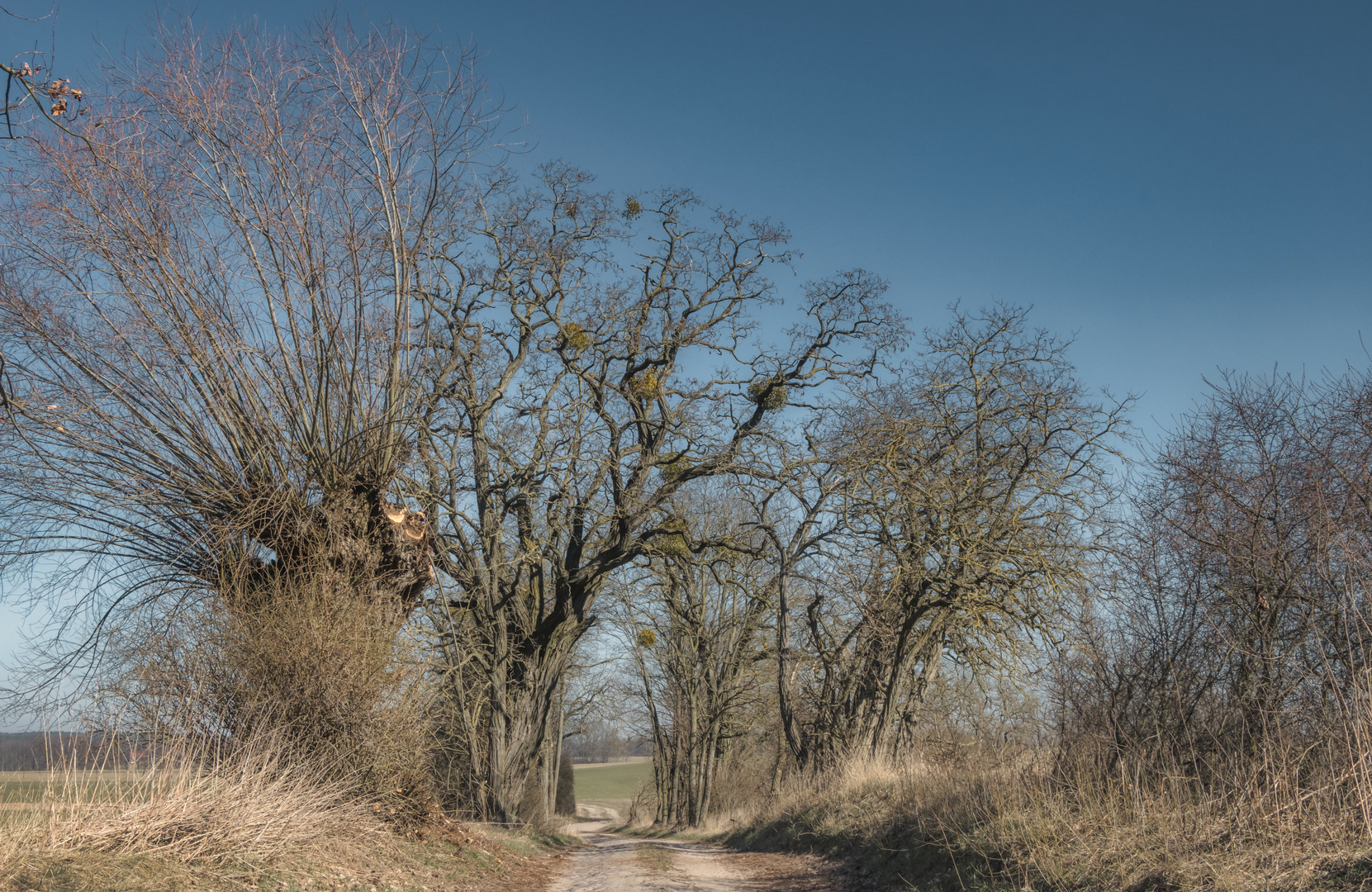 Märkische Wege in Farbe