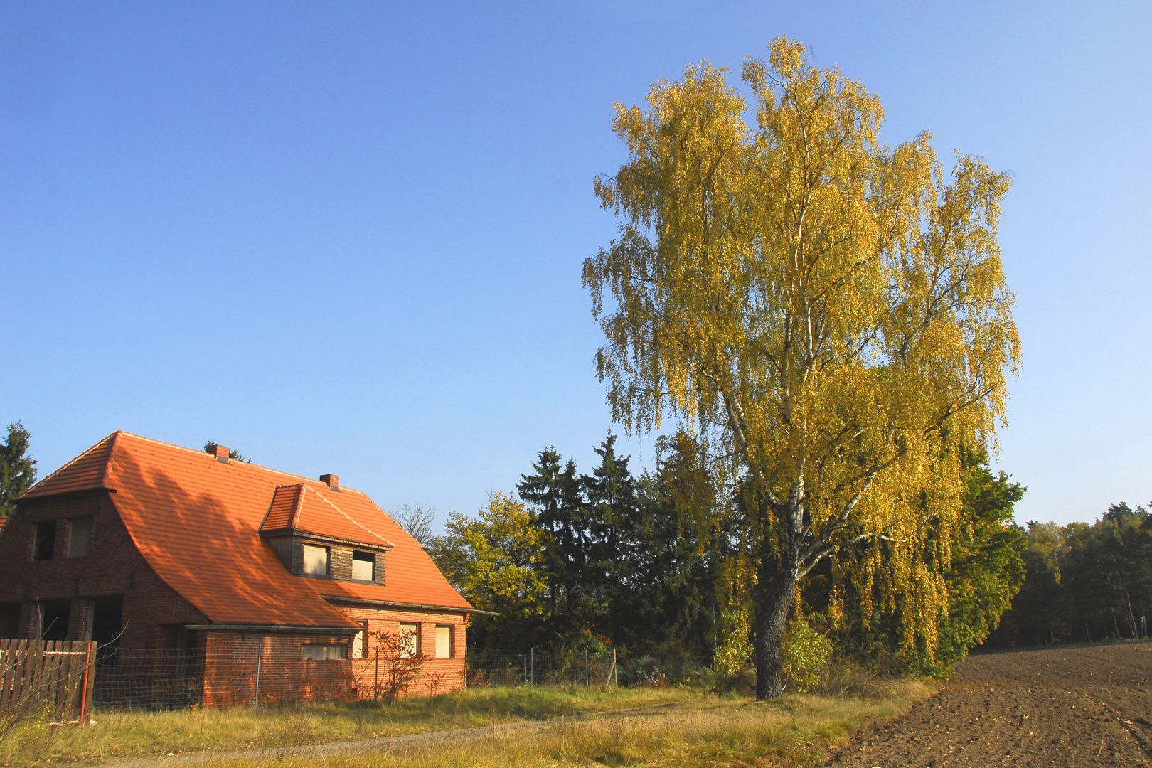 Märkischer Herbst