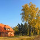 Märkischer Herbst