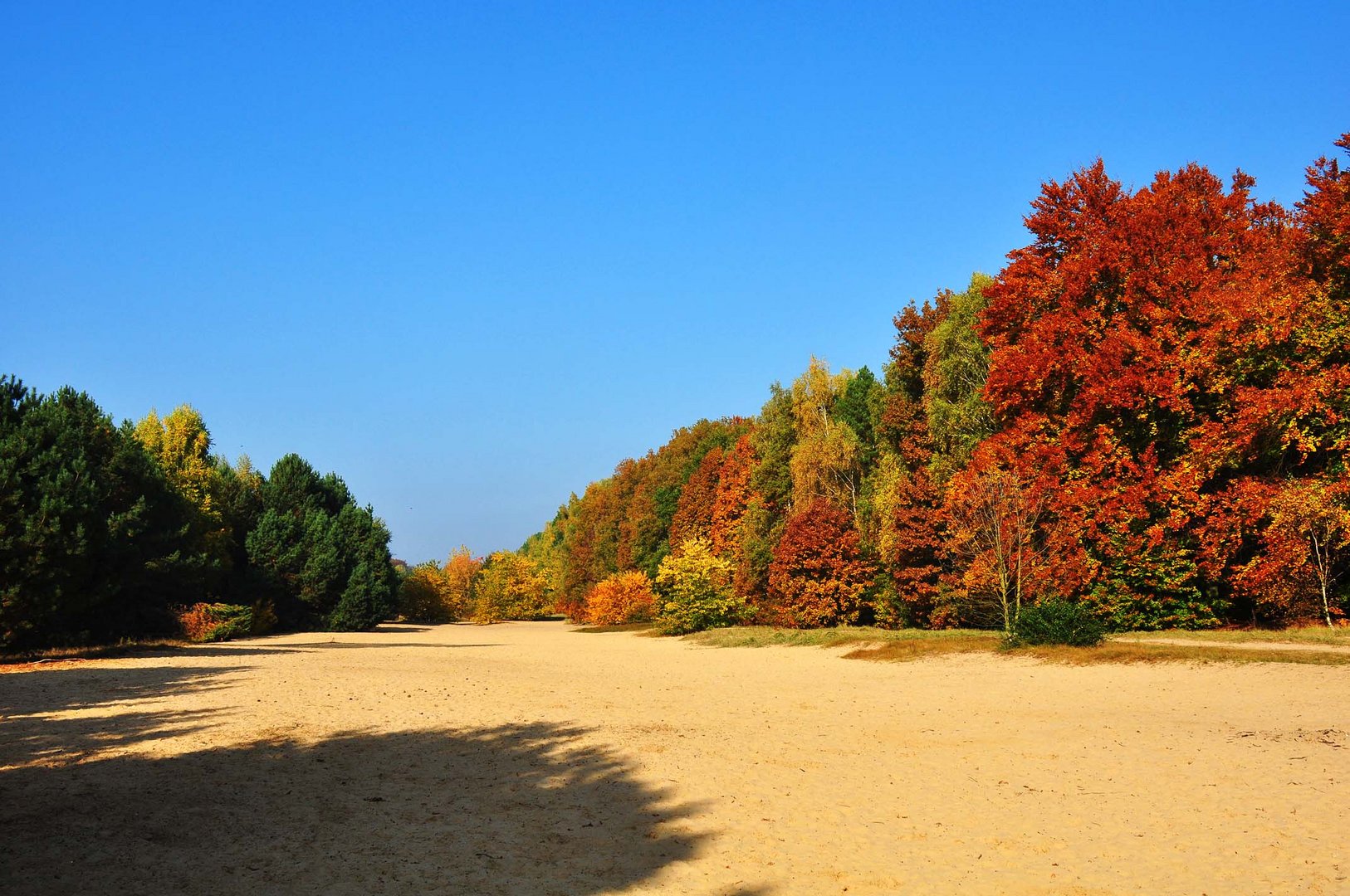 Märkischer Sand