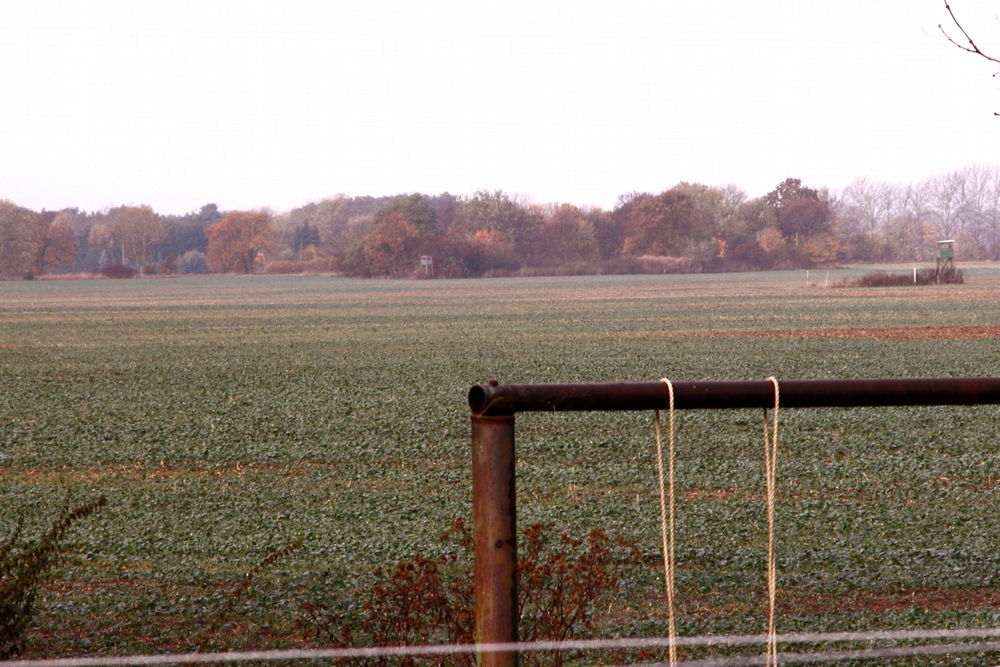 Märkisches Feld