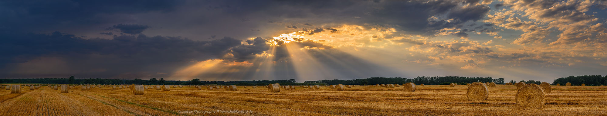 "Märkisches Licht"