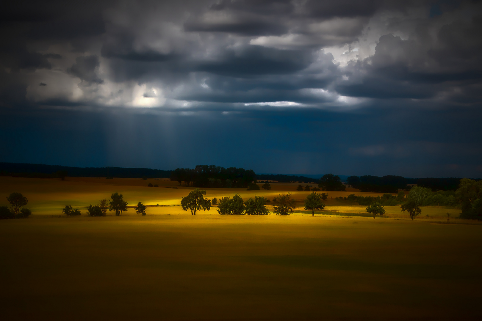 Märkisches Licht